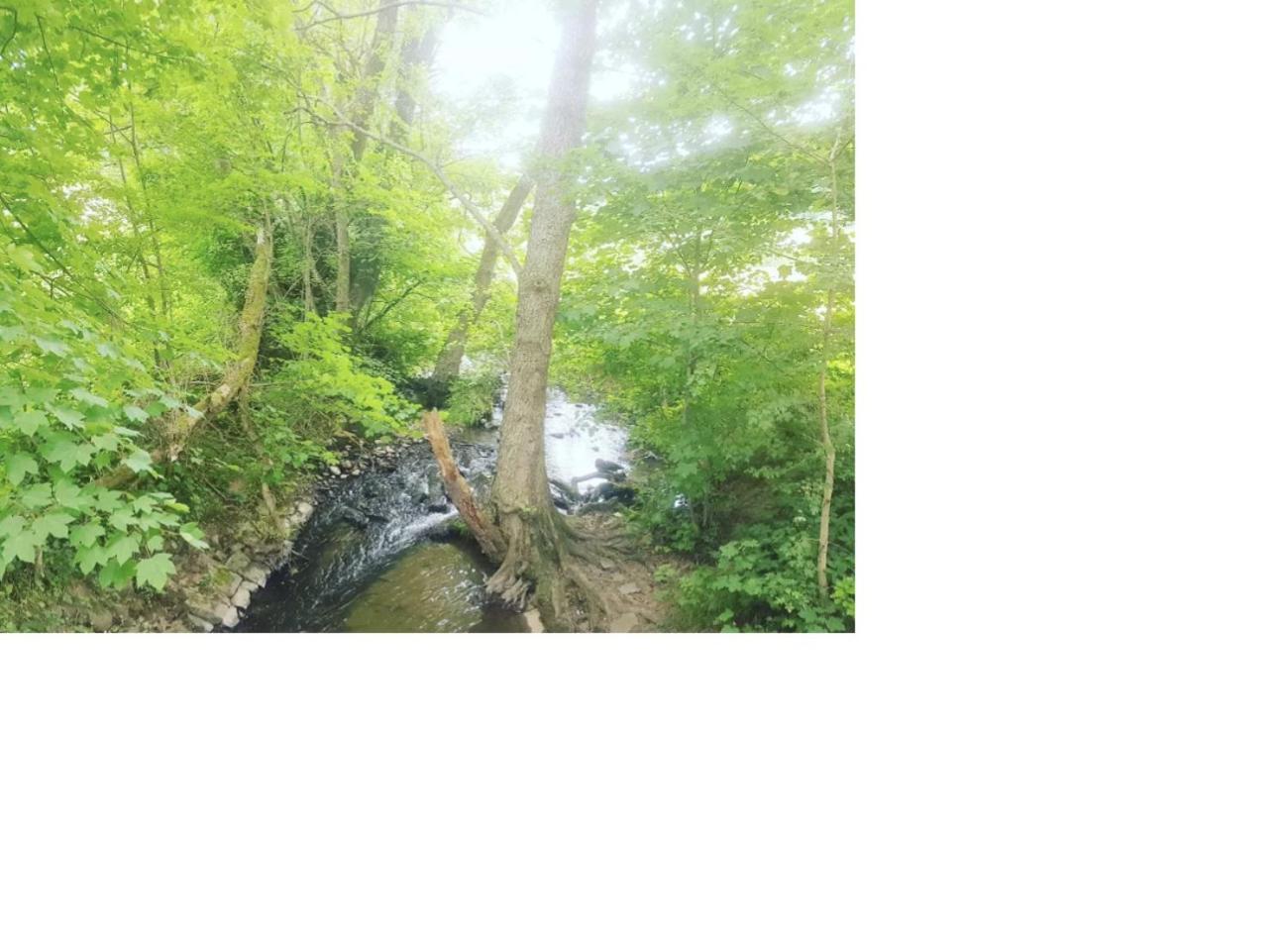 Natur Pur Frielendorf Extérieur photo